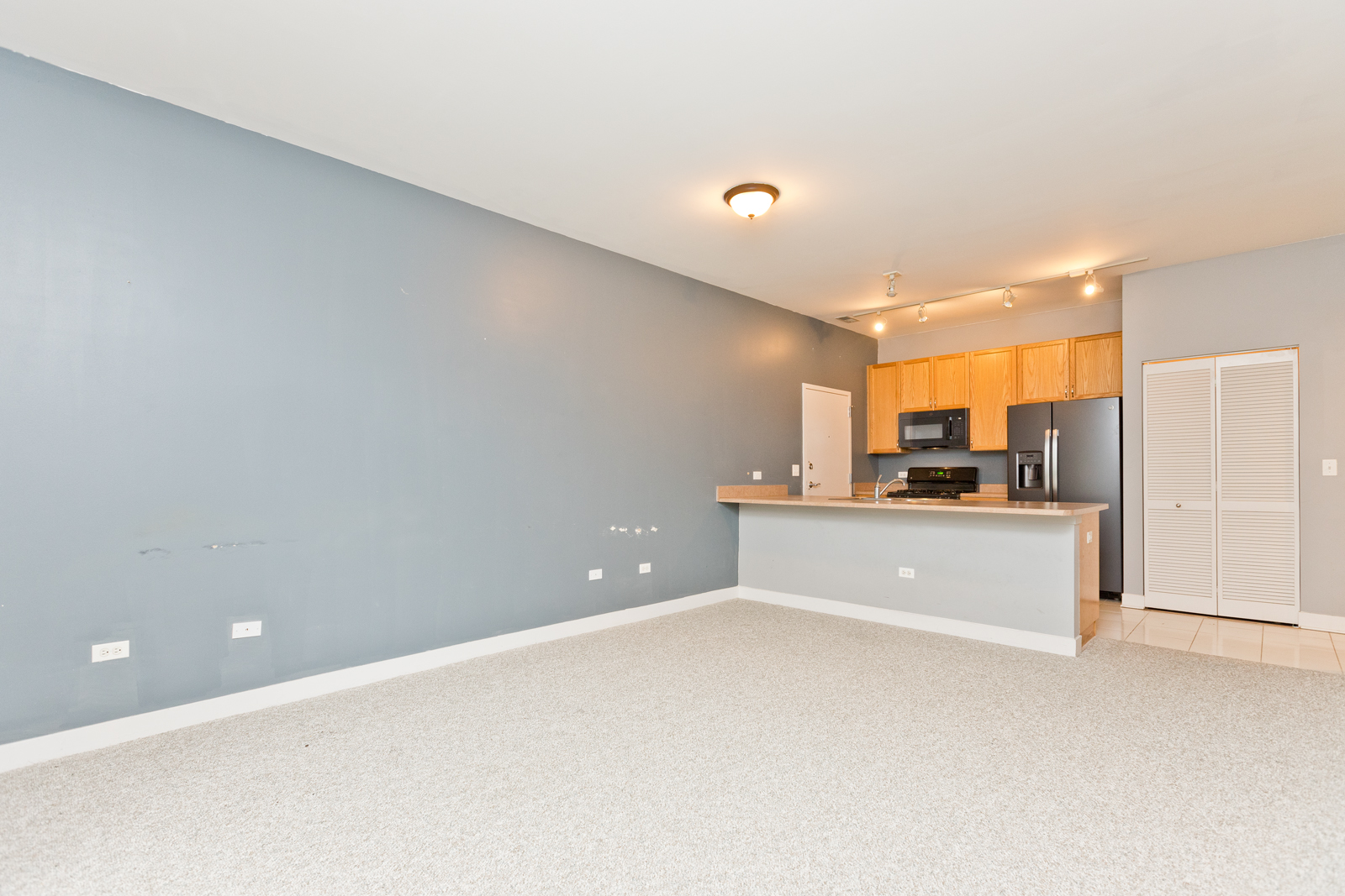 Chicago Condo: 1515 South Halsted Street