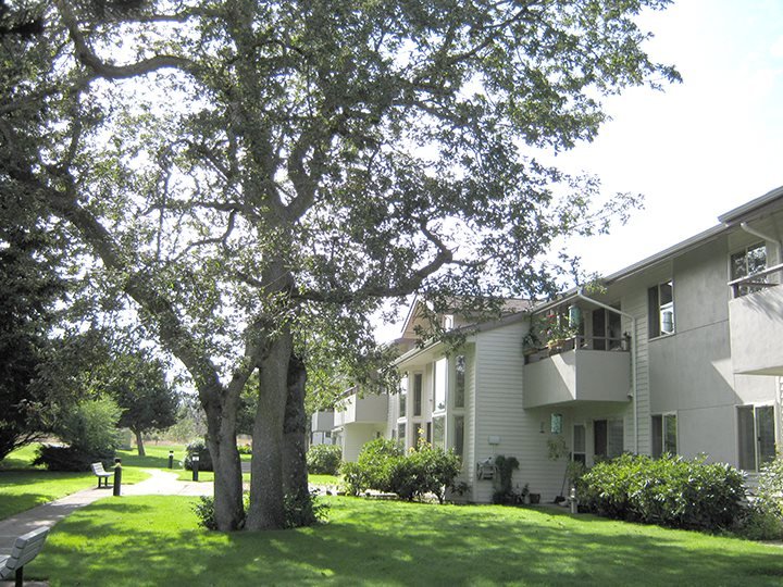Sequim Condo: 213 East Prairie