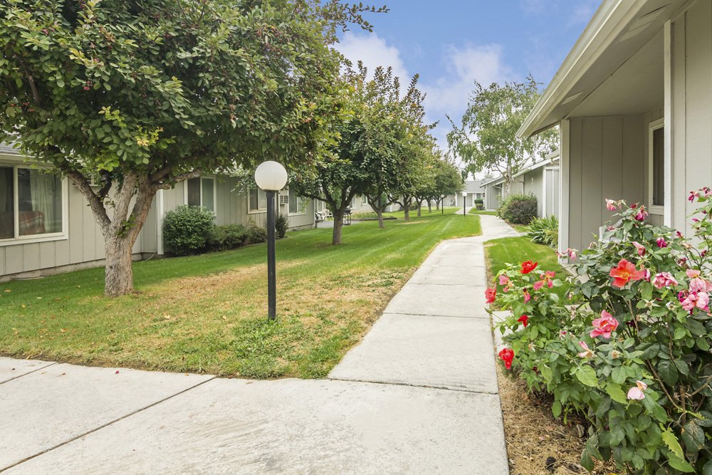 Warden Condo: 116 Ash St