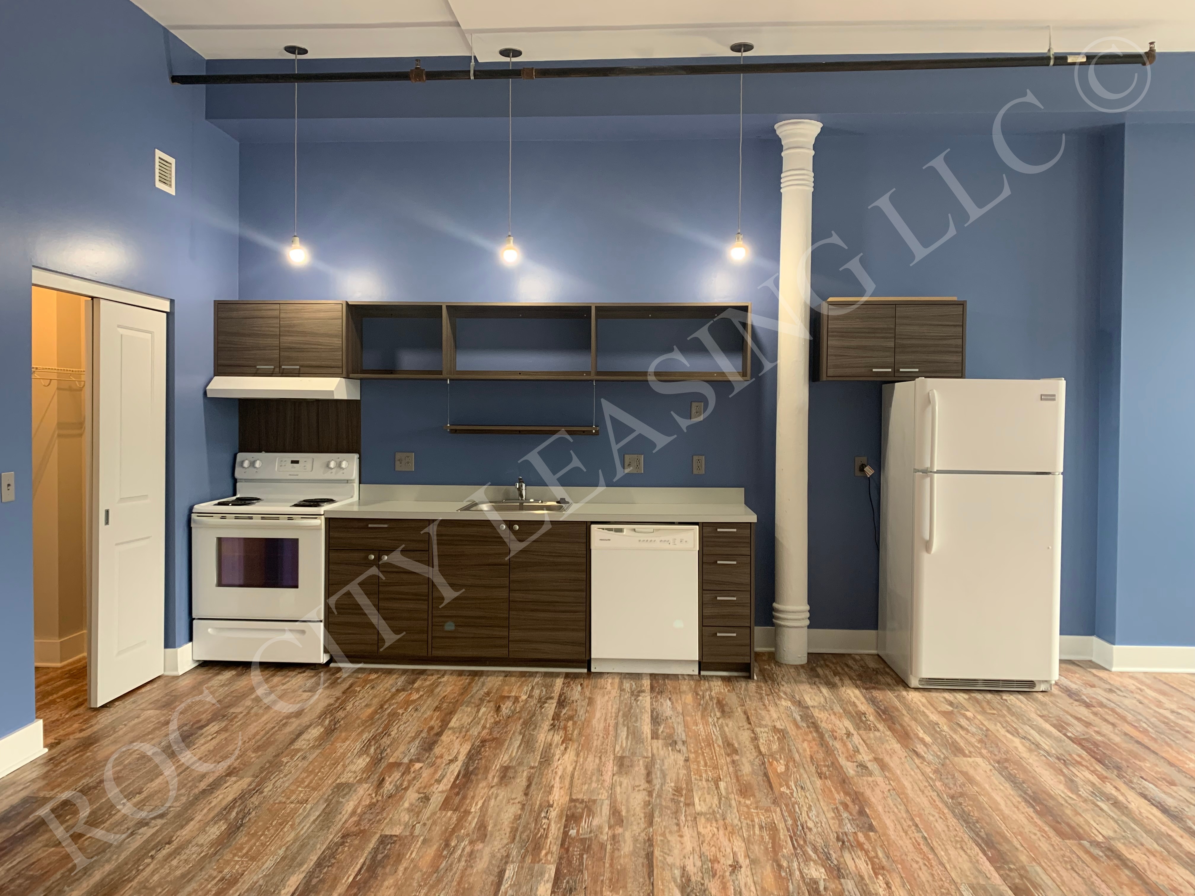 Rochester Apartment: 155 Saint Paul St