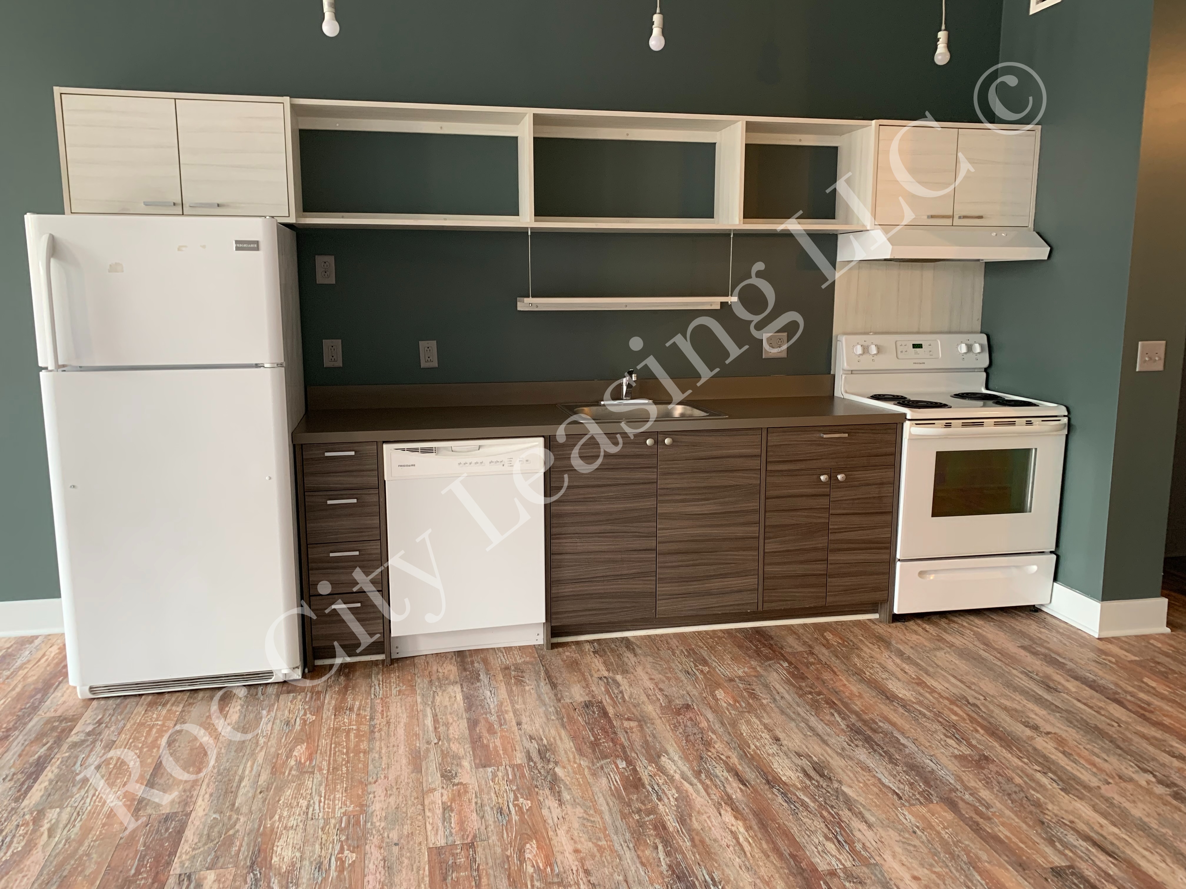Rochester Apartment: 155 Saint Paul St
