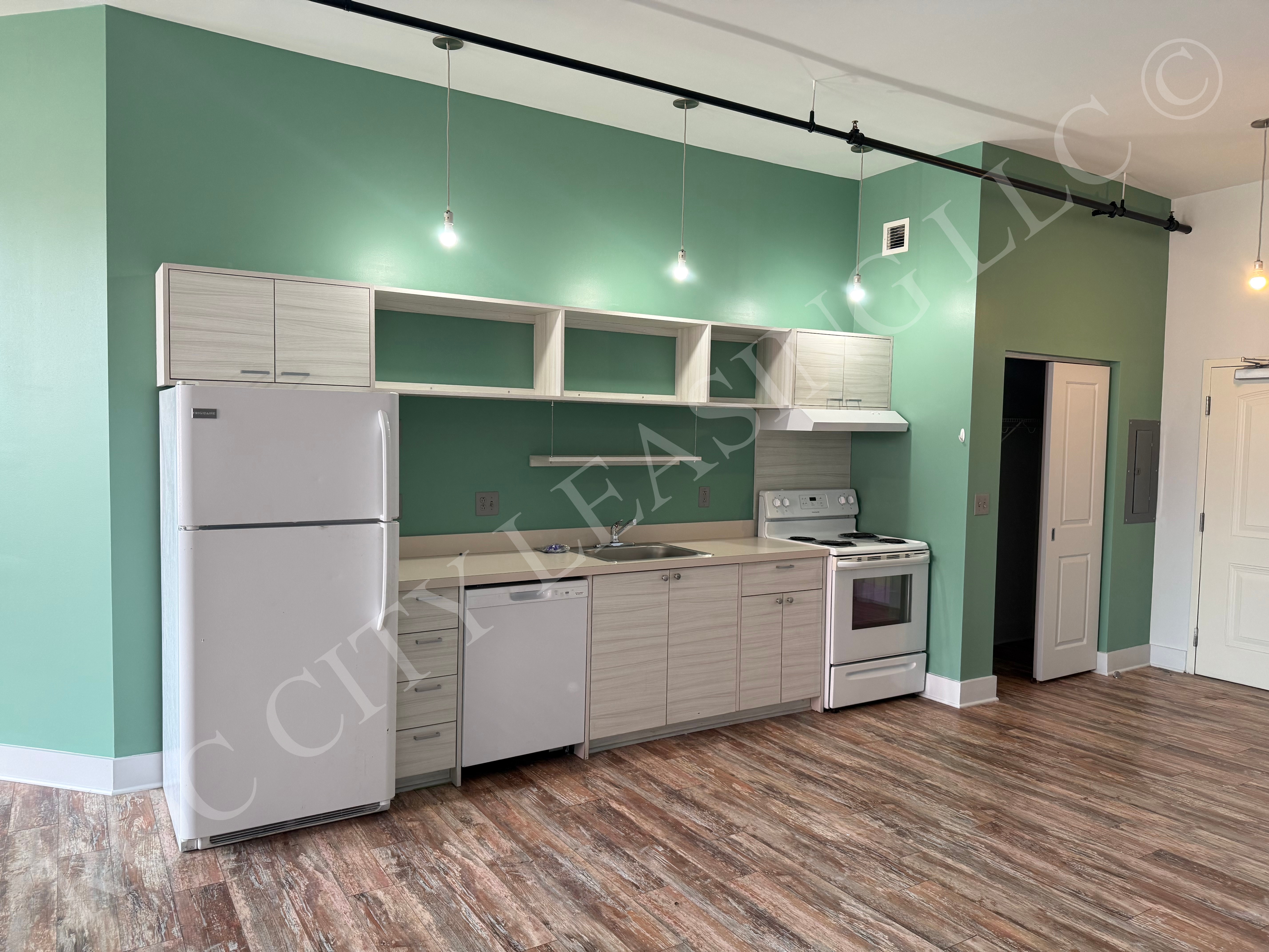 Rochester Apartment: 155 Saint Paul St