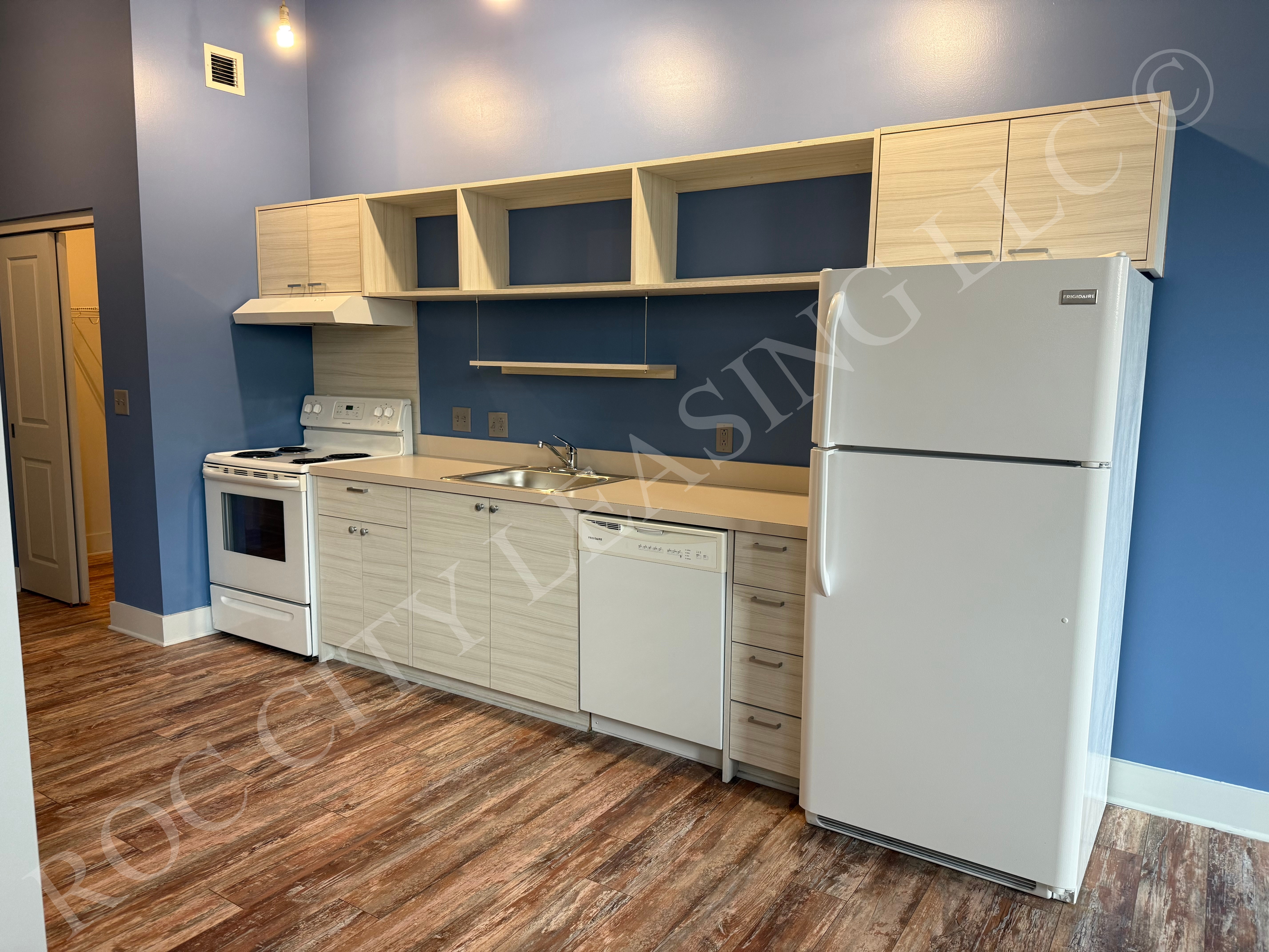 Rochester Apartment: 155 Saint Paul St