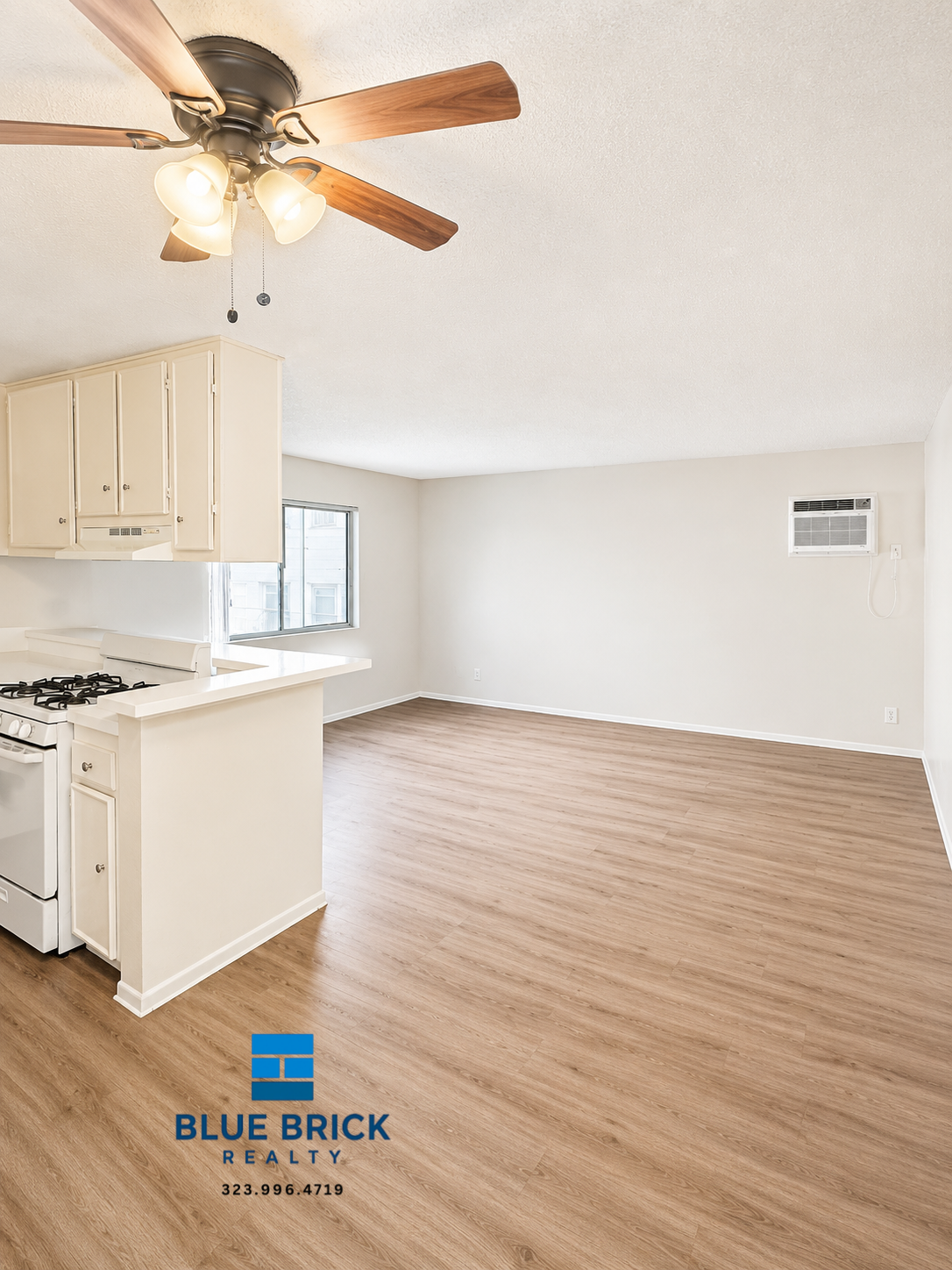 Los Angeles Condo: 509 N Berendo St