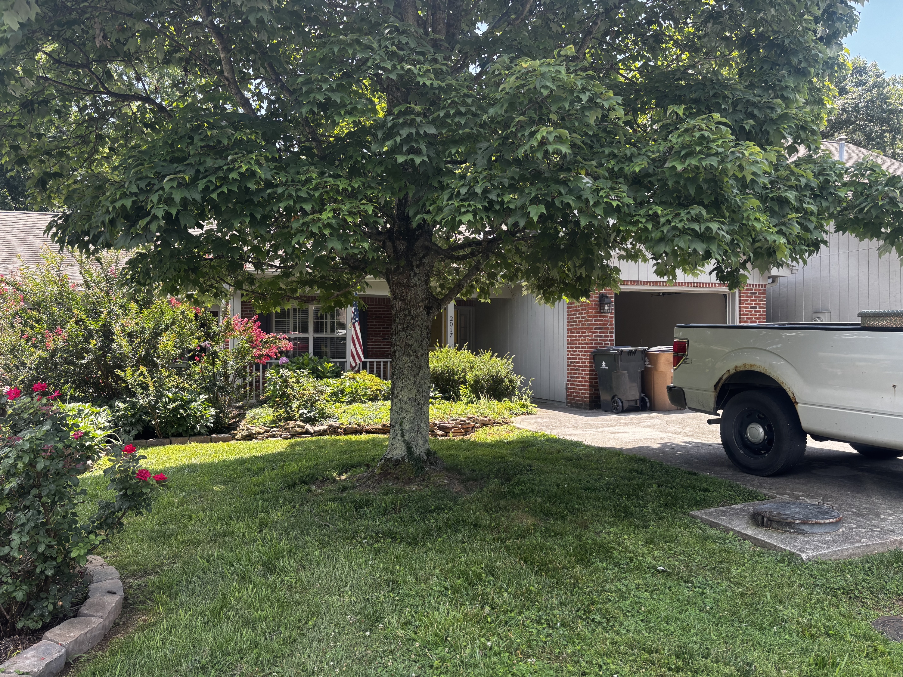 Knoxville Townhome: 2017 Locarno Dr
