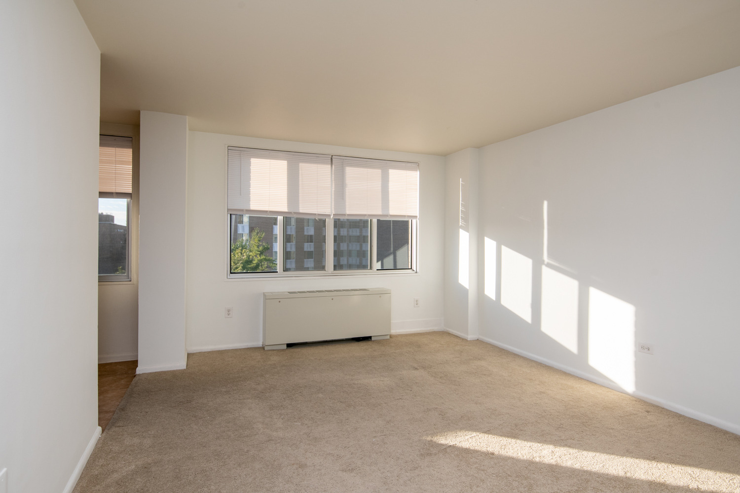 Washington Condo: 2939 Van Ness St NW