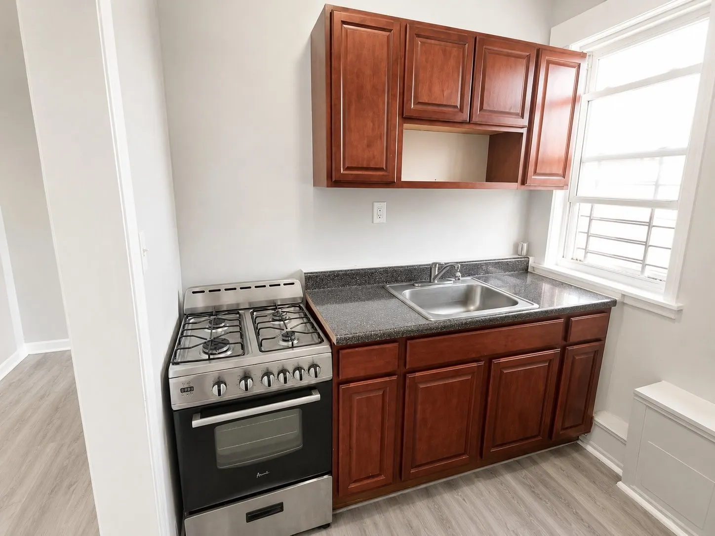 Newark Condo: 233 Littleton Ave, Newark, 07103