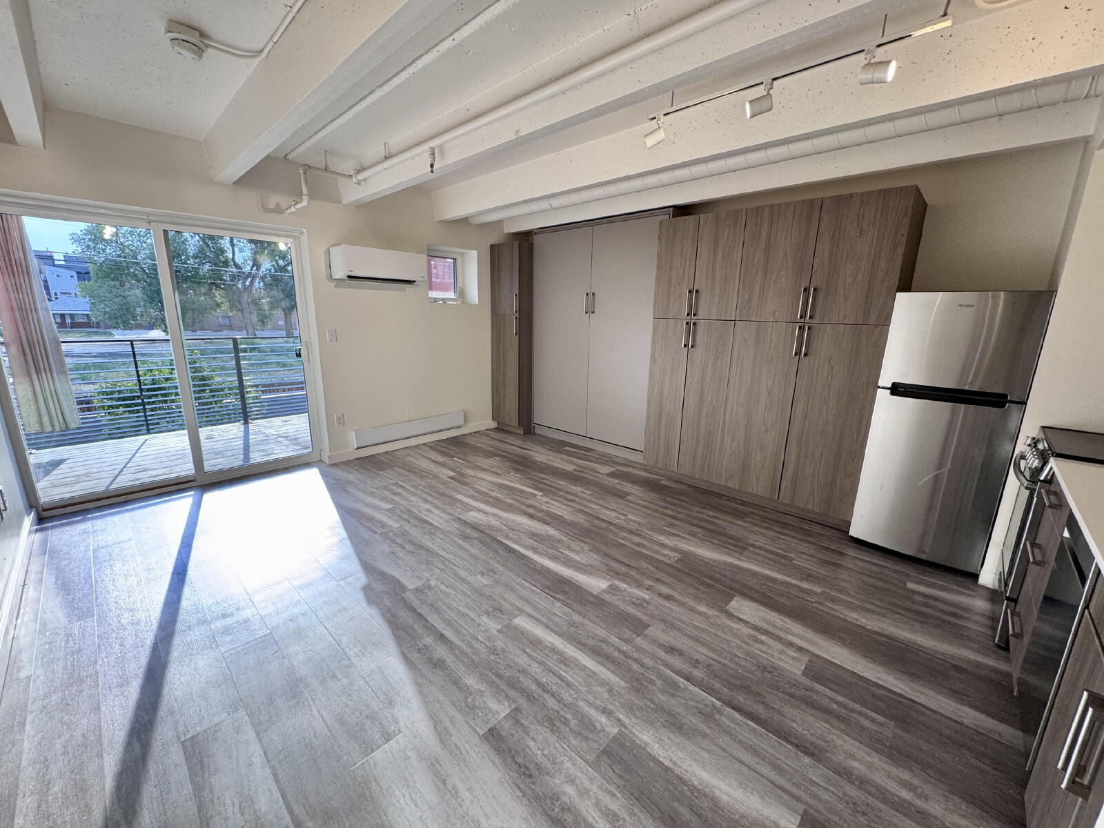 Denver Condo: 1495 Vrain St
