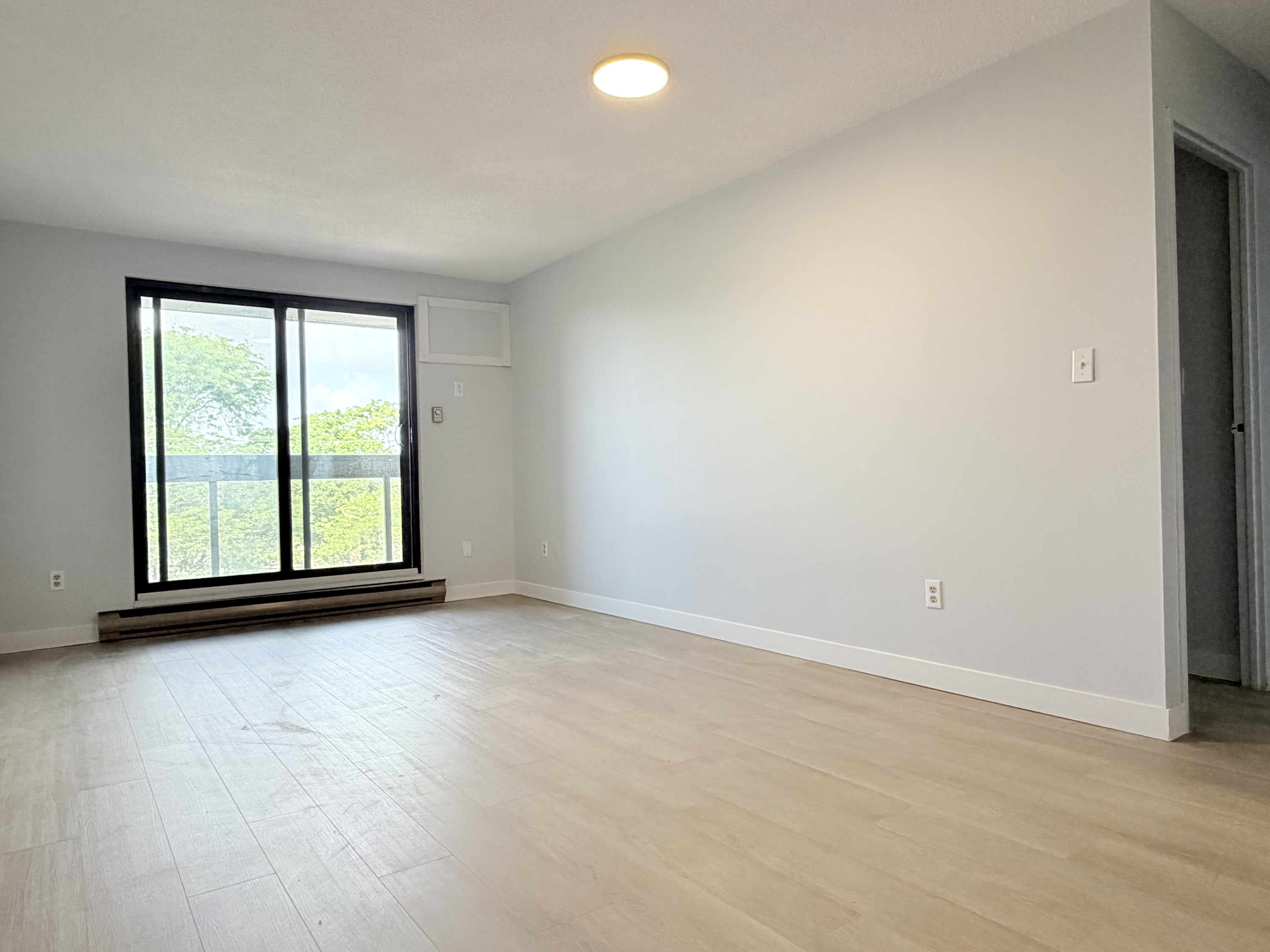 Windsor Condo: 1653 Ouellette Ave