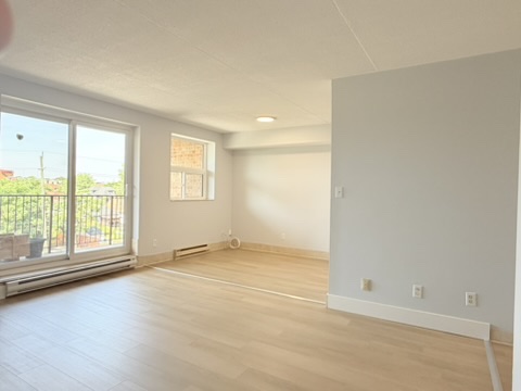 Windsor Condo: 1071 McDougall St