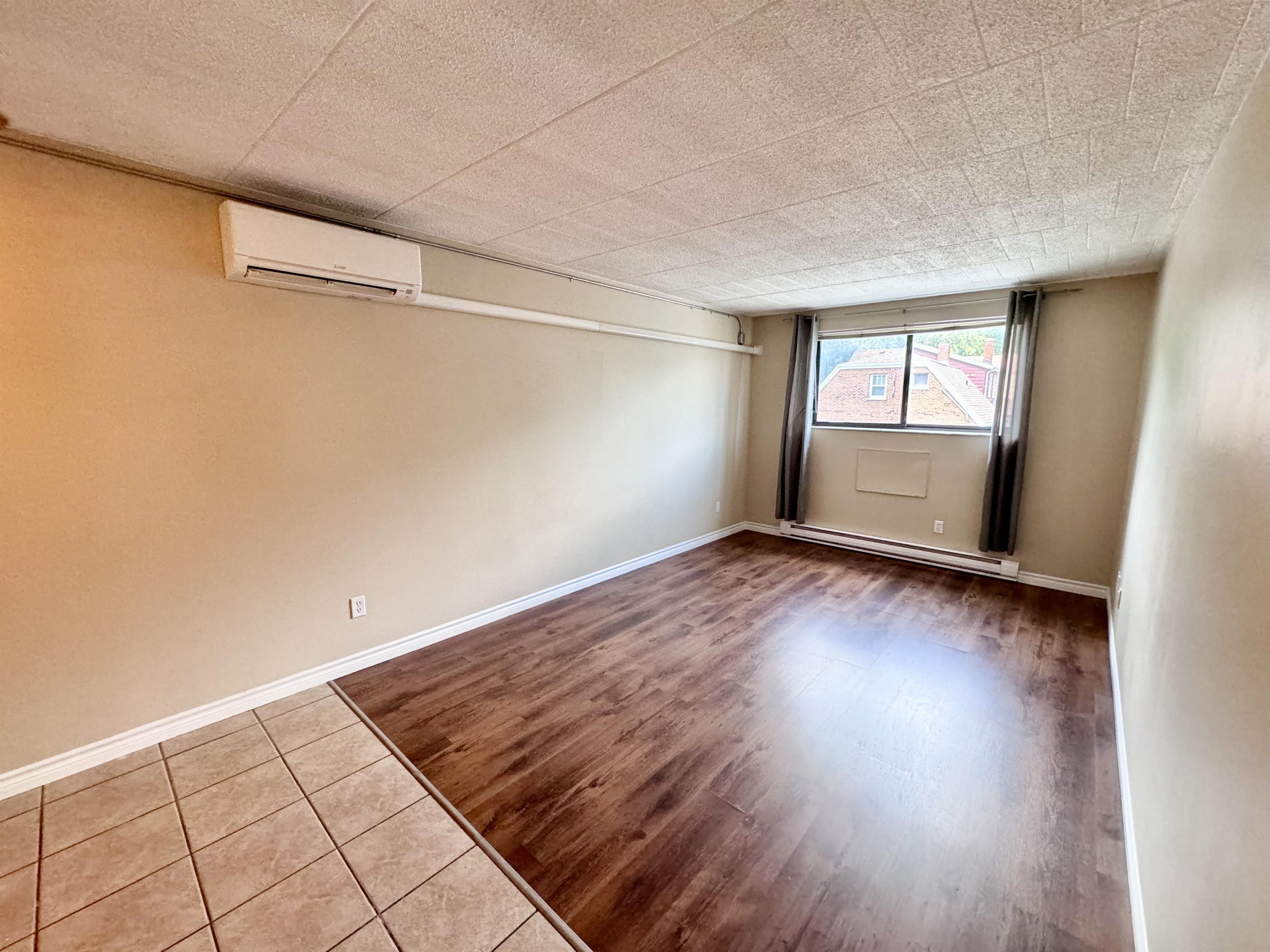 Windsor Condo: 360 Tecumseh Rd W