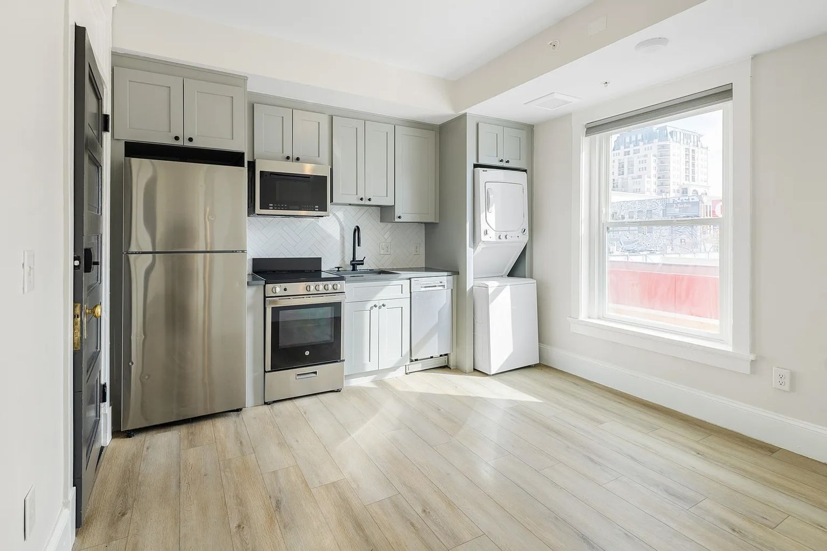 Denver Condo: 1023 North Broadway