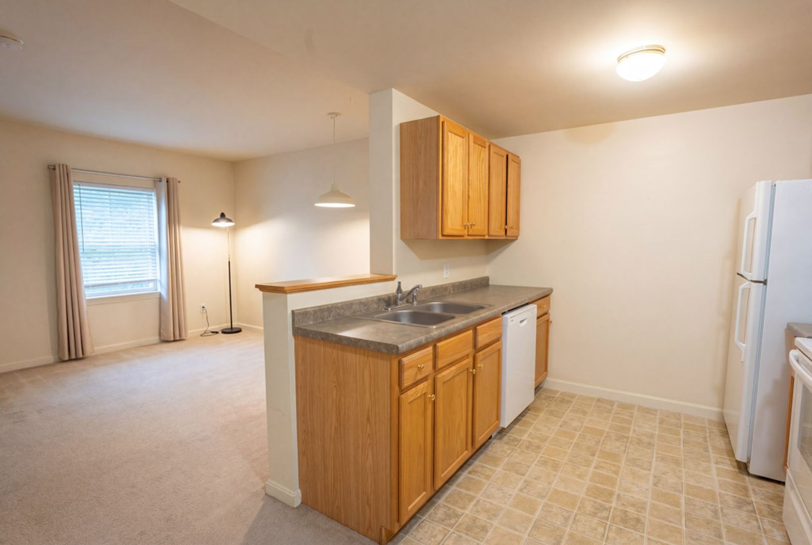 Freeport Condo: 181 Lower Main Street