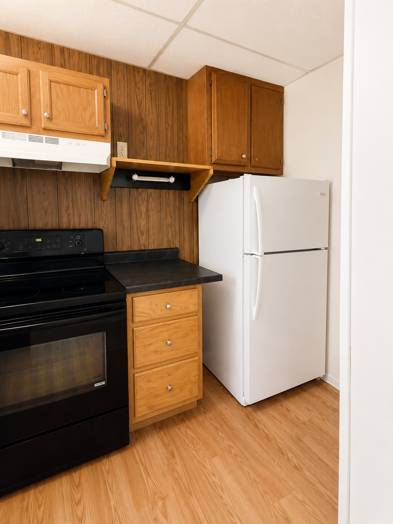 New Lisbon Condo: 115 W Pearl St