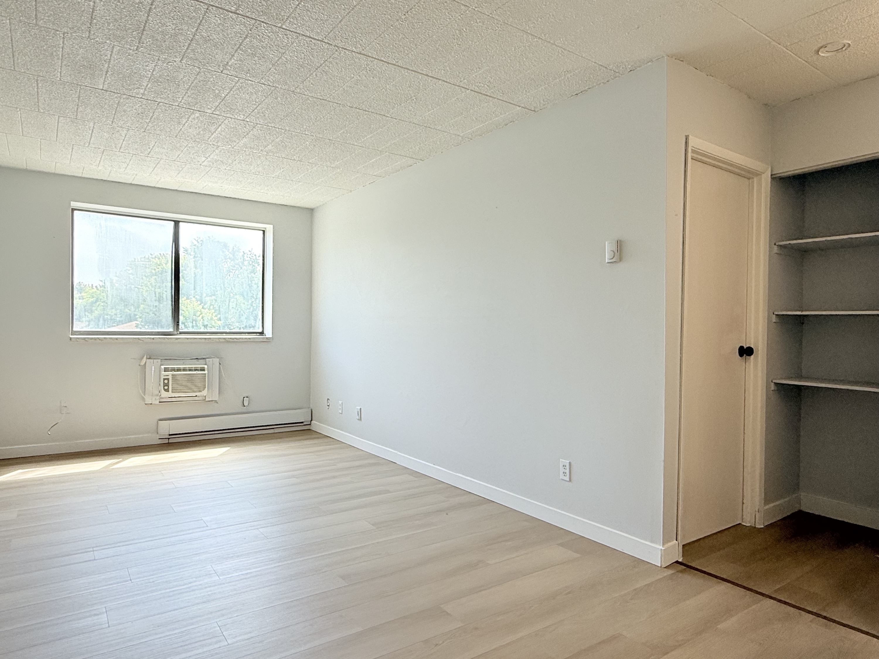 Windsor Condo: 3503 Sandwich St