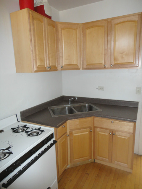Chicago Condo: 1926 West Winona Street