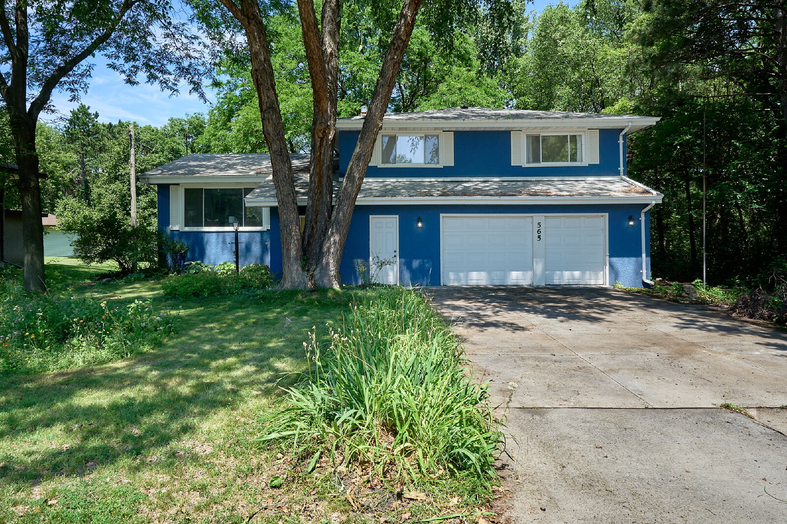 Roseville House: 565 Transit Ave