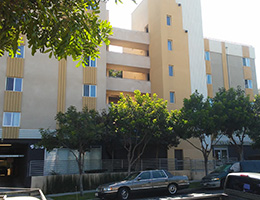 Los Angeles Condo: 924 S. Hobart Blvd