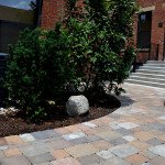 Cincinnati Condo: 1641 Vine St.