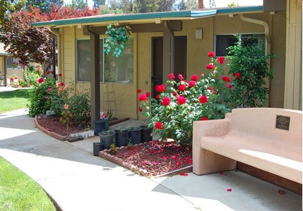 Pleasanton Condo: 251 Kottinger Dr.