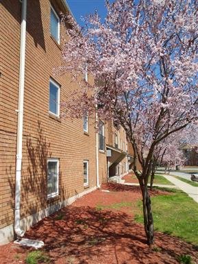 Norwich Condo: 40 East Baltic Street