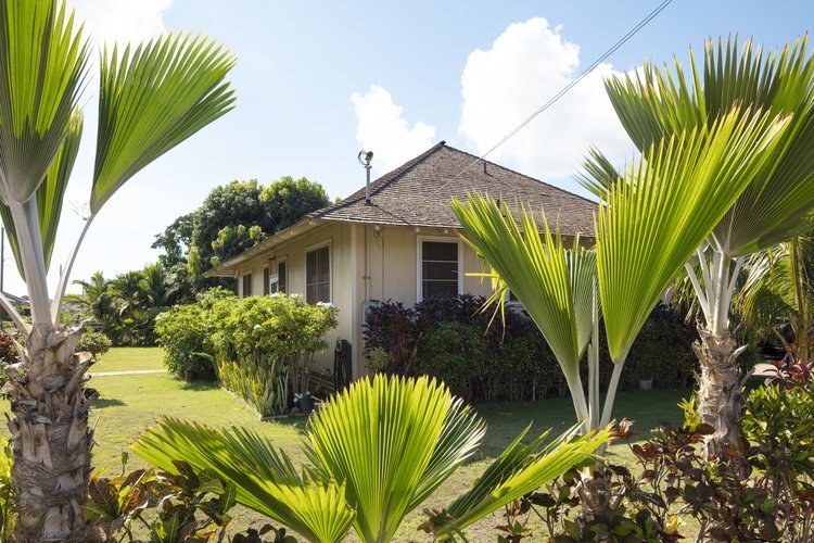 Ewa Beach Condo: 91-1719 Tenney Street