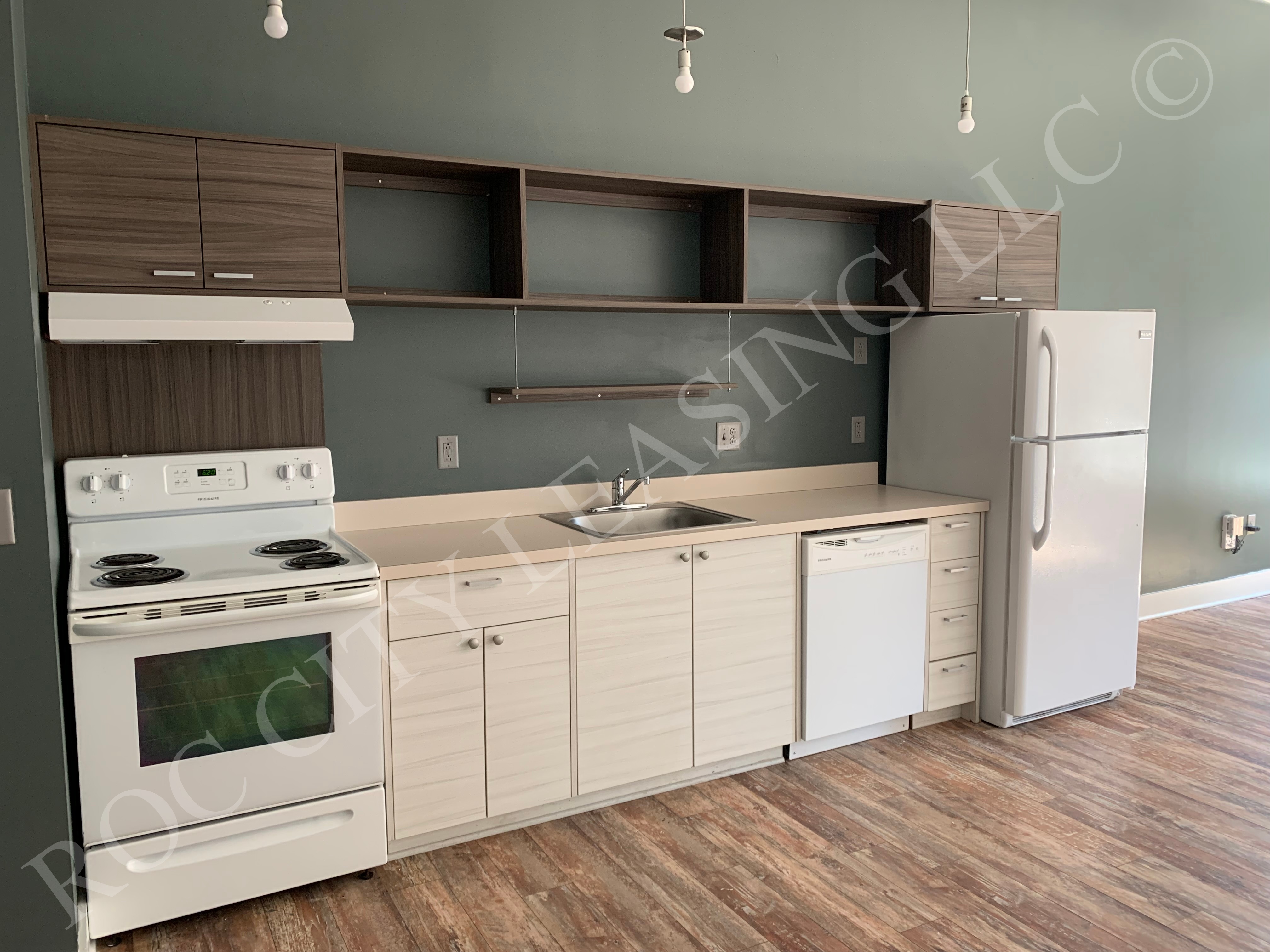 Rochester Apartment: 155 Saint Paul St