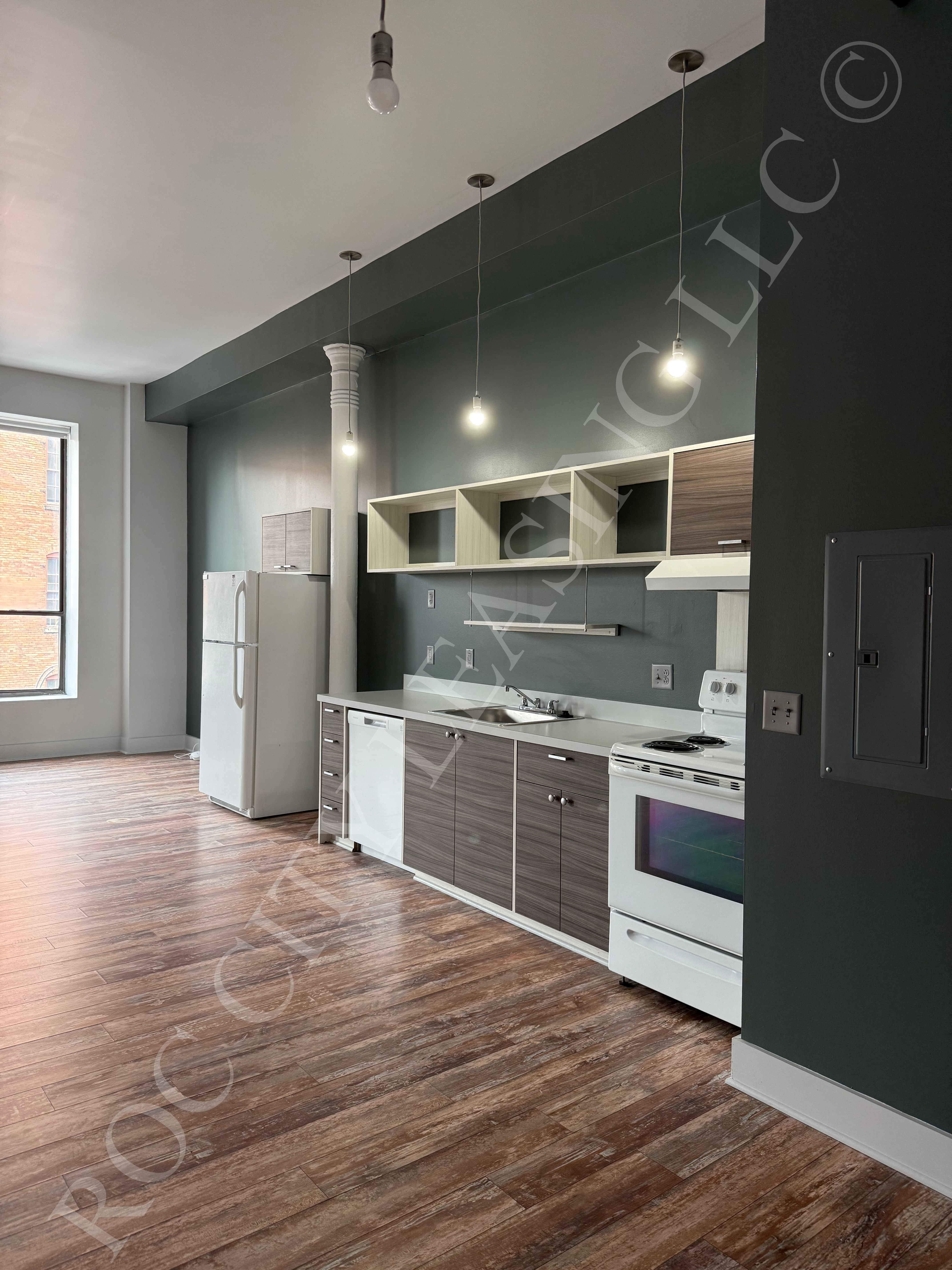 Rochester Apartment: 155 Saint Paul St