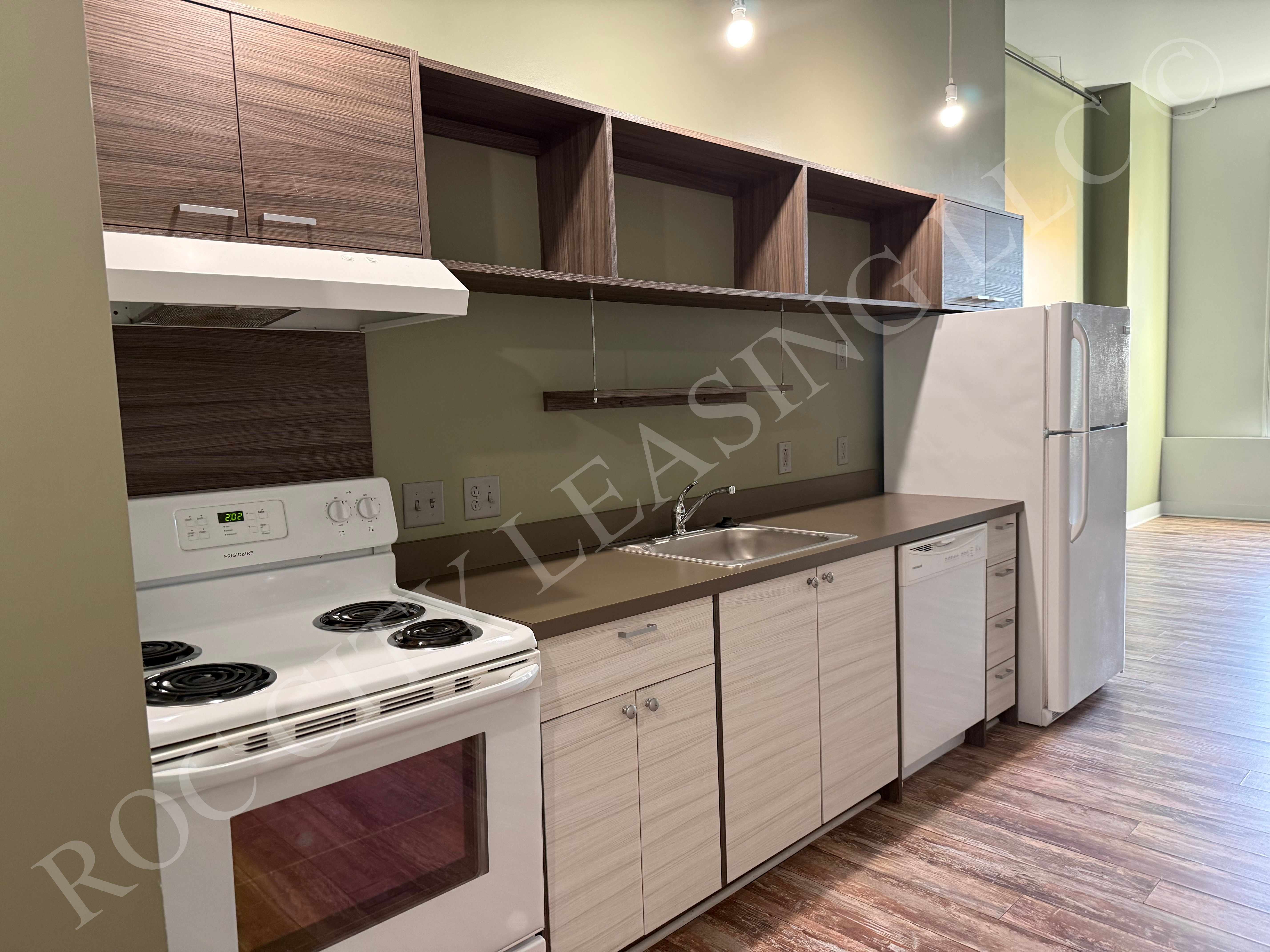 Rochester Apartment: 155 Saint Paul St