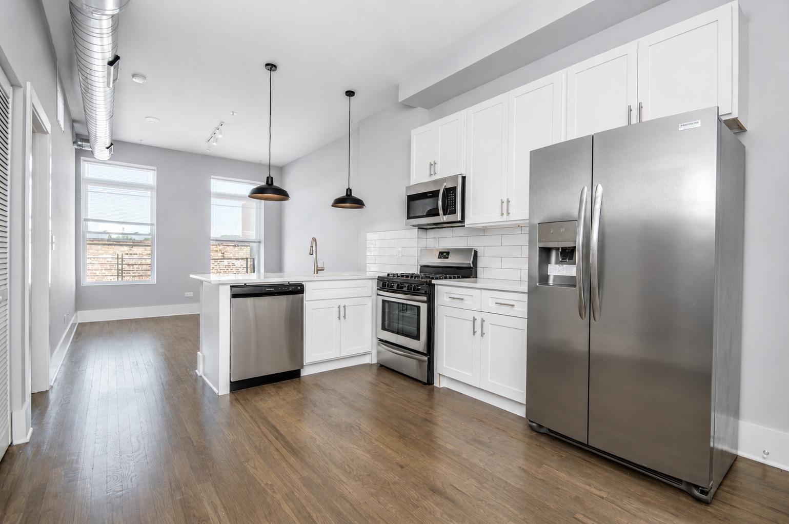 Chicago Condo: 2007 South Allport Street