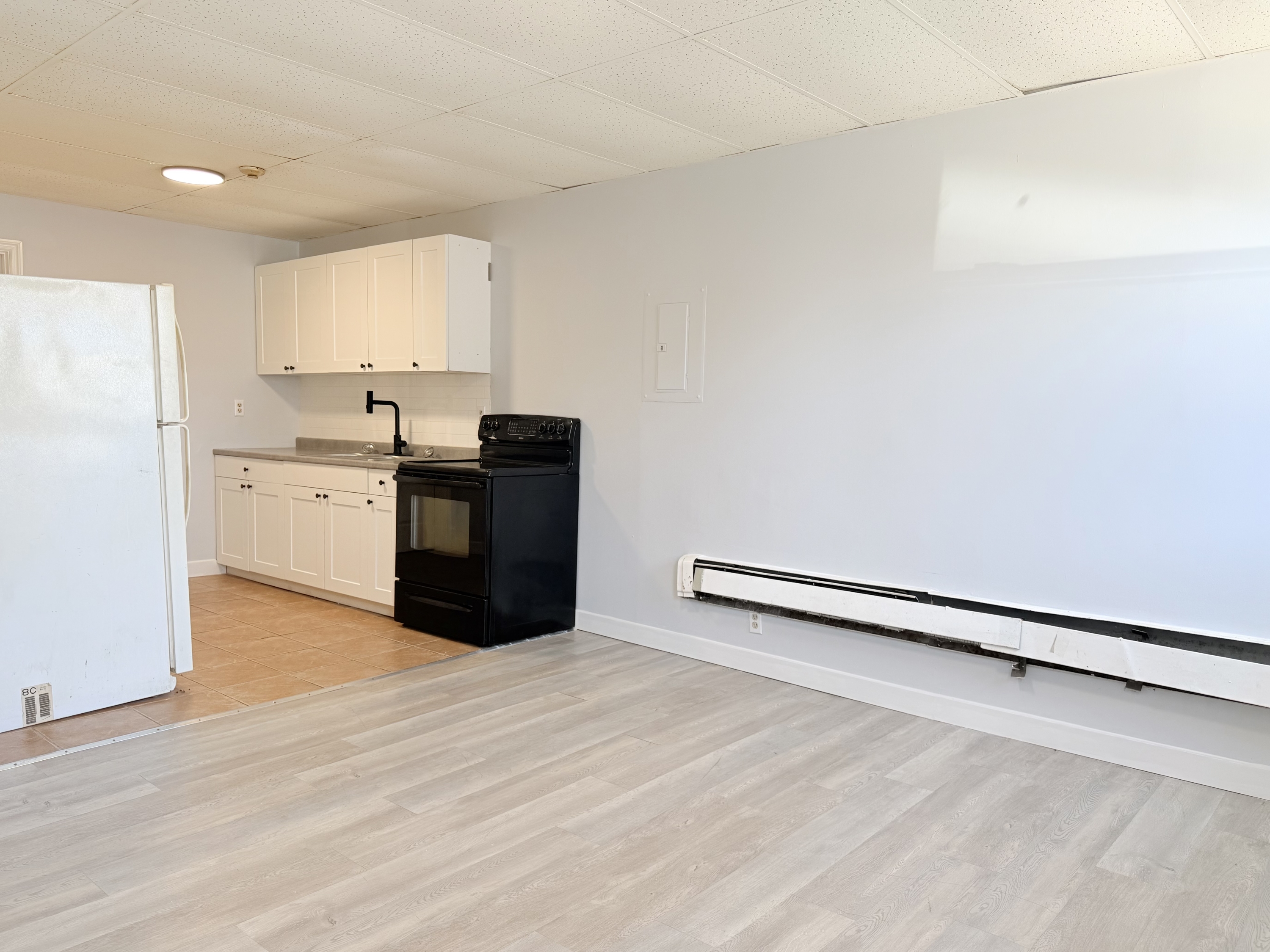 Windsor Condo: 581 Pierre Ave