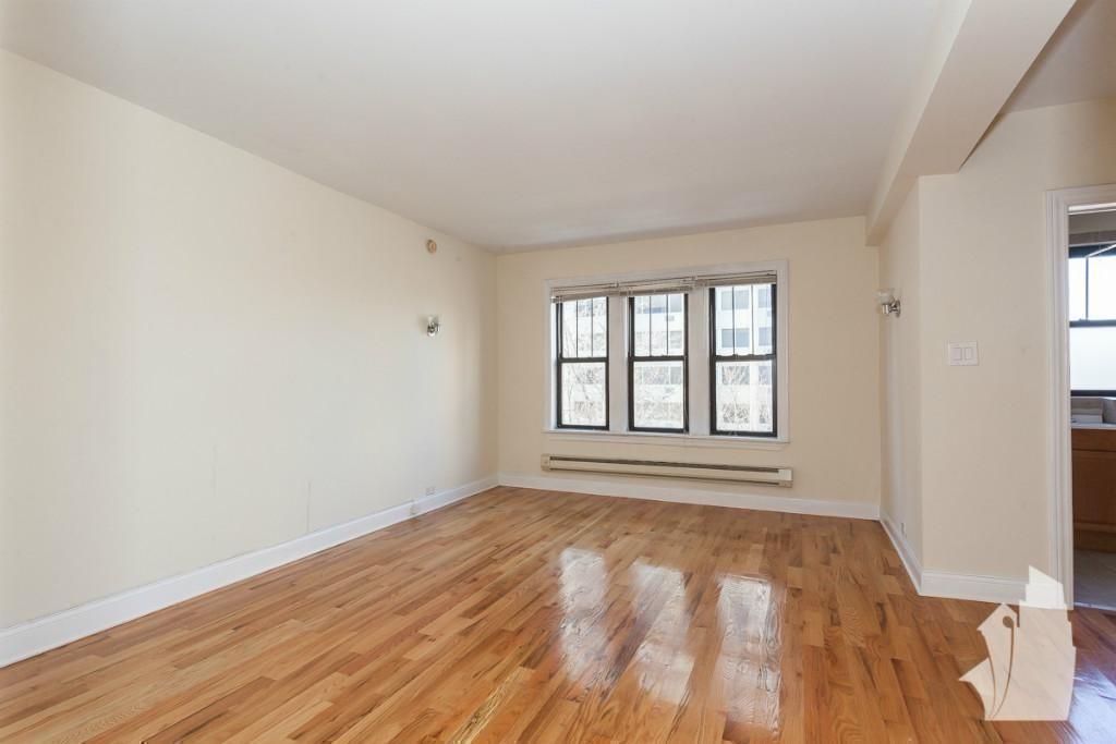 Chicago Condo: 1347 North Dearborn Street