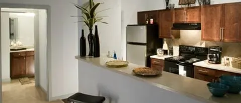 Dallas Condo: 1415 Mccoy St