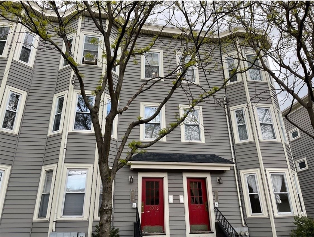 Cambridge Condo: 309 Elm St