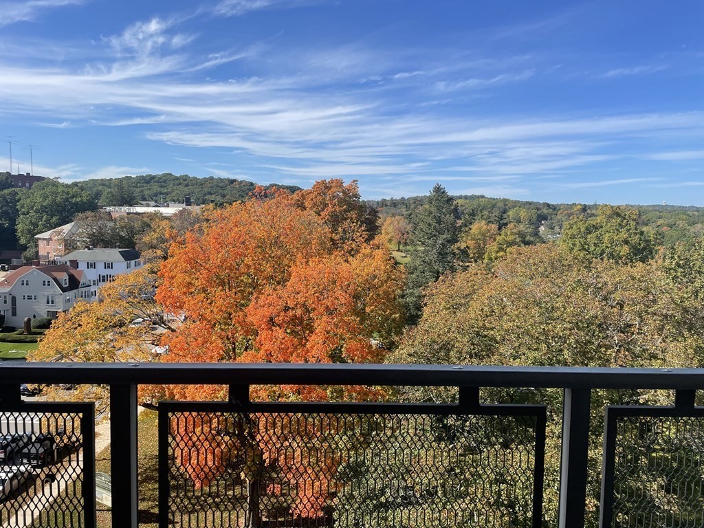 Worcester Condo: 80 Salisbury Street,