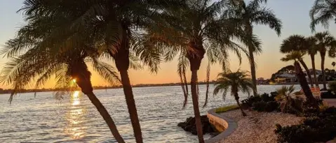 St Petersburg Condo: 4700 Cove Cir