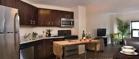 Chicago Condo: 1 W Chestnut St