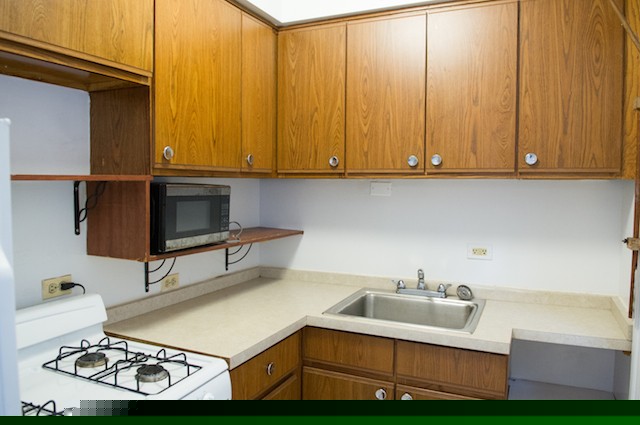 Chicago Condo: 1606 West Sunnyside,