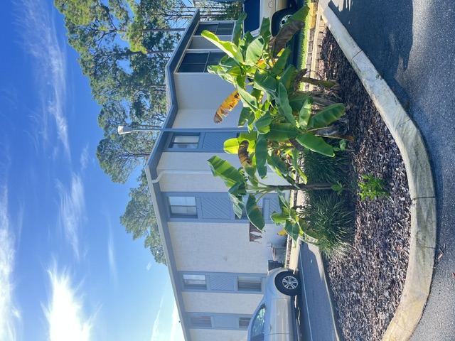Daytona Beach Condo: 1199 Pine St