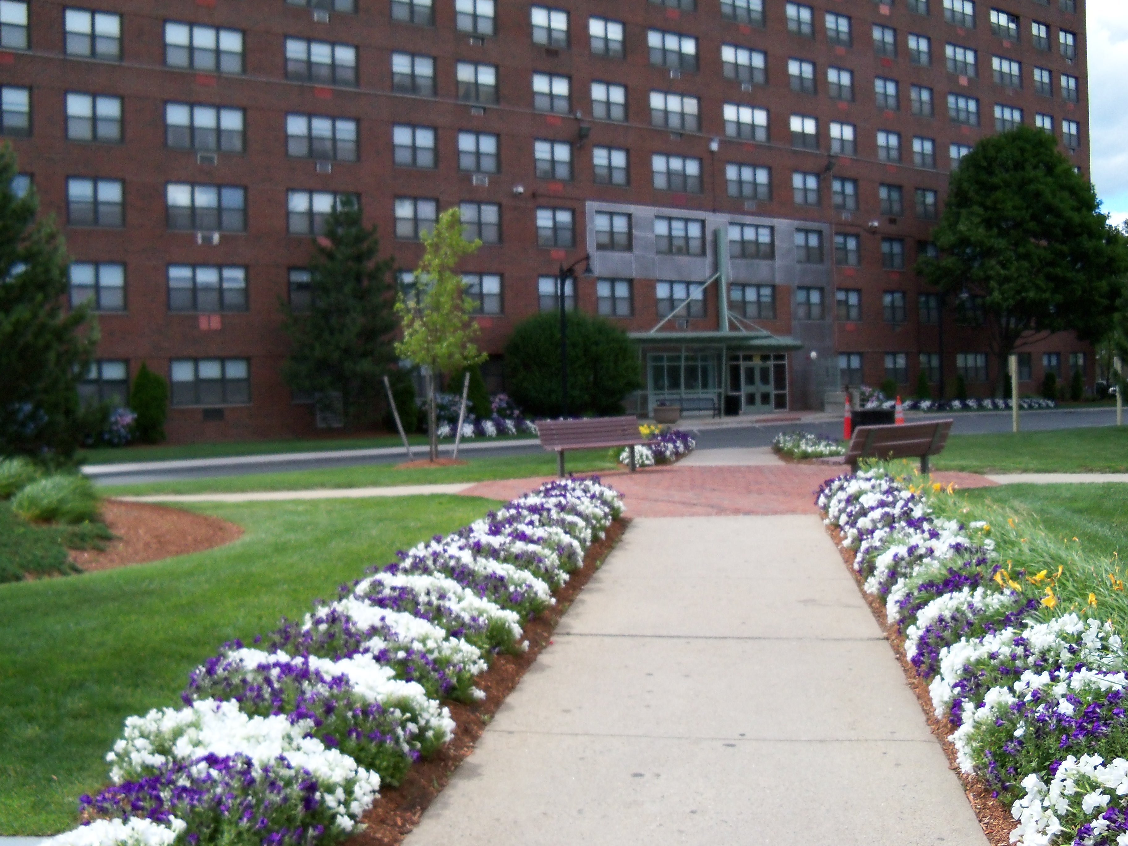 Cambridge Condo: 364 Rindge Avenue