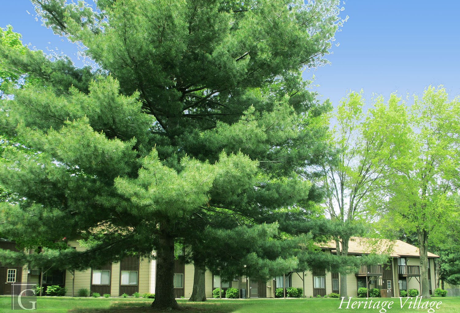 Wayland Condo: 428 E. Elm