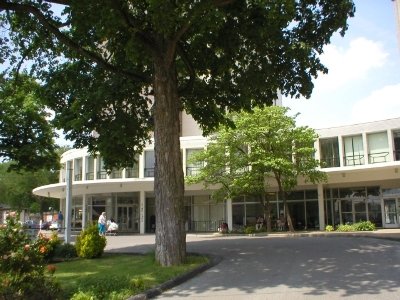 Bowling Green Condo: 1149 College St.