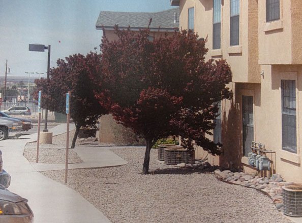 Alamogordo Condo: 2553 East 1st Street