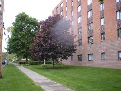 Saratoga Springs Condo: 57 Ballston Ave.