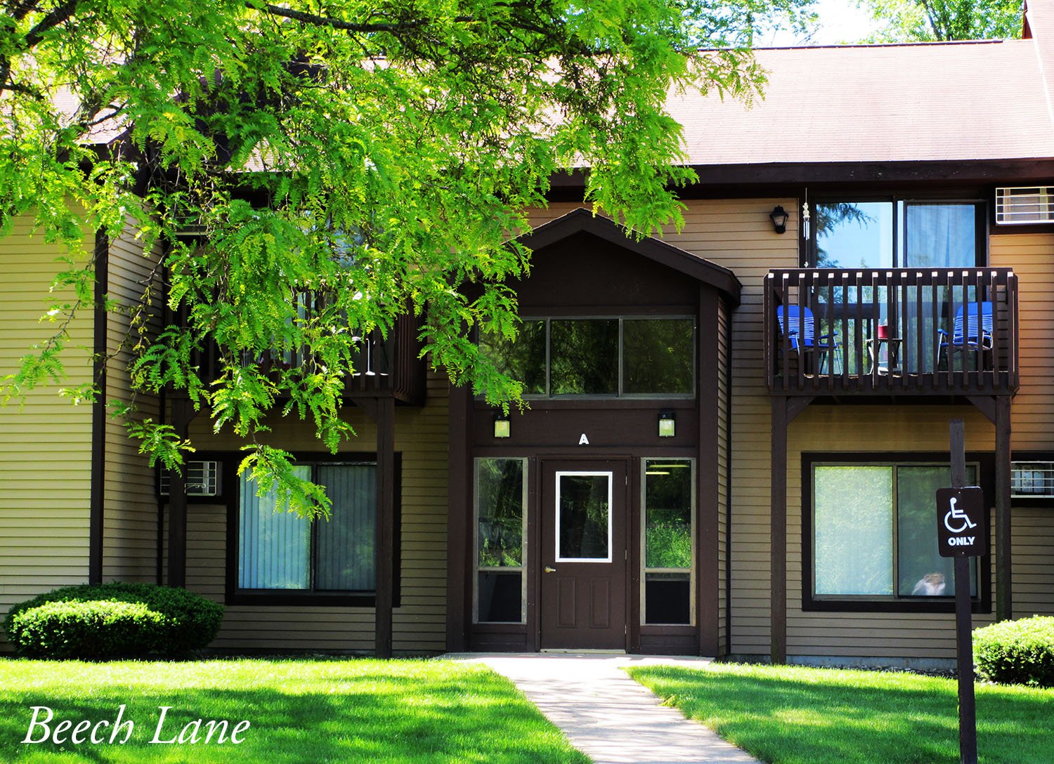 Martin Condo: 1626 North 10th Street