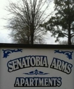 Senatobia Condo: 907 S. Panola