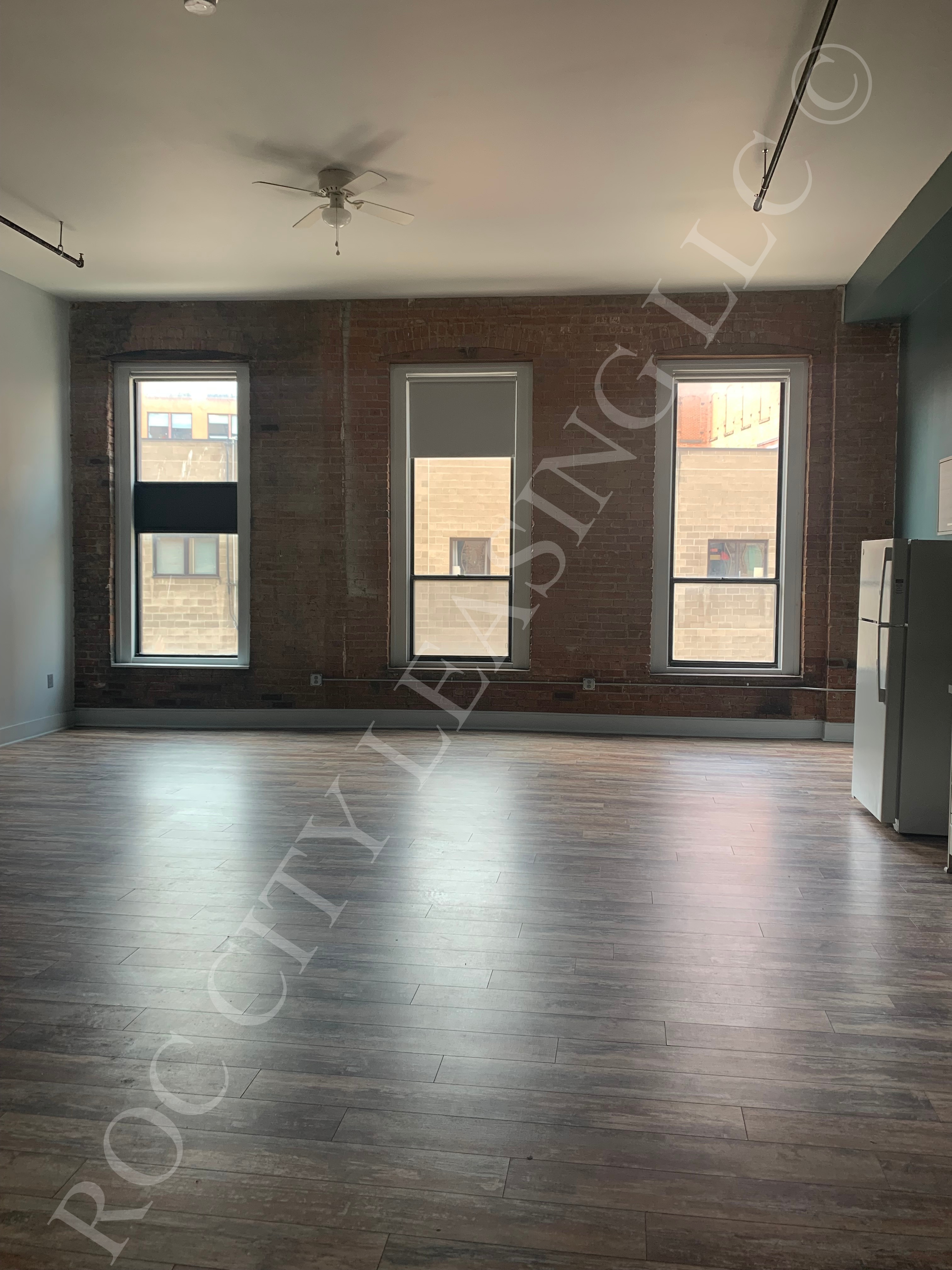 Rochester Apartment: 155 Saint Paul St