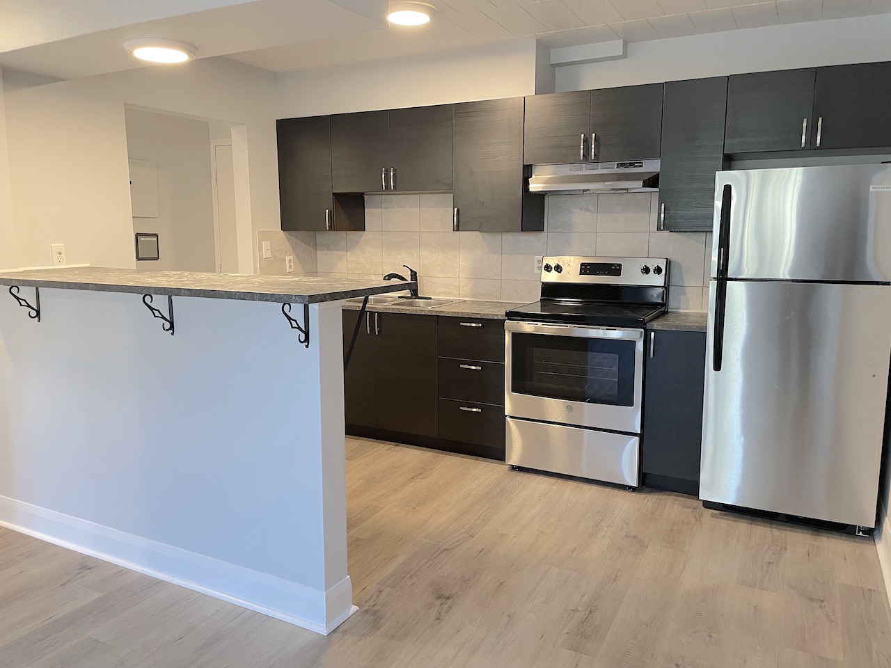 Windsor Condo: 471 Tecumseh Rd W