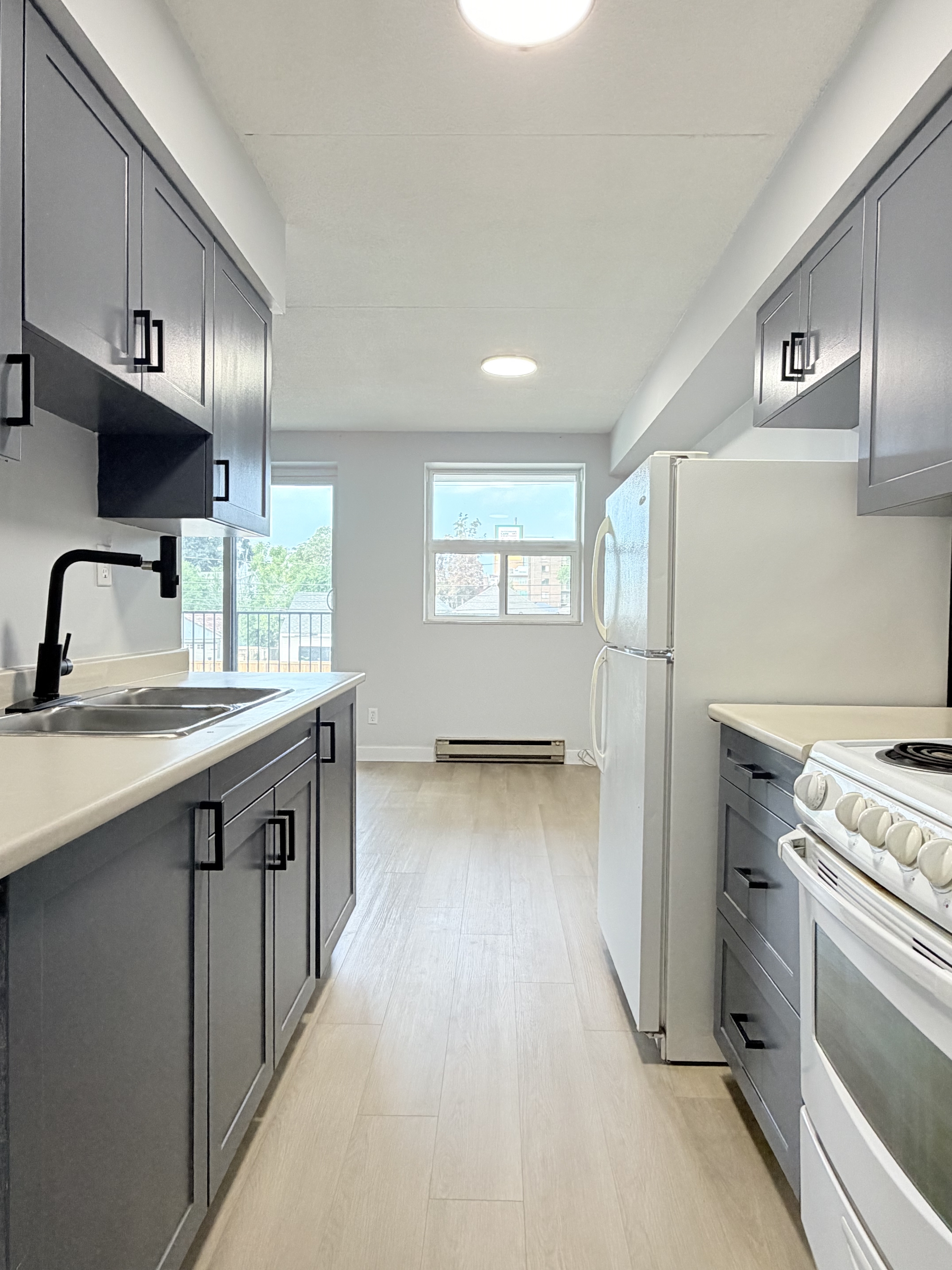 Windsor Condo: 1071 McDougall St