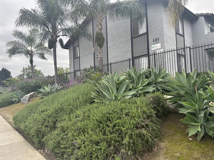Vista Apartment: 131 Townsite Dr